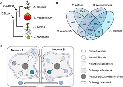 Evolutionary Analysis of DELLA-Associated Transcriptional Networks